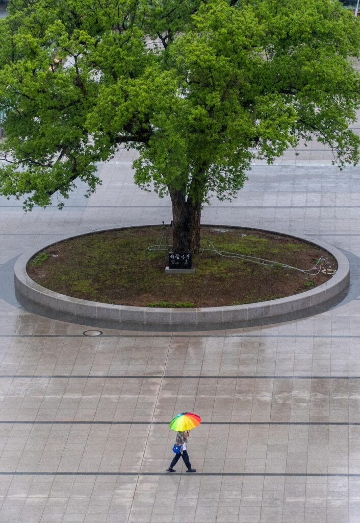 tree, umbrella, weather, wet, nature, person, rainy weather
